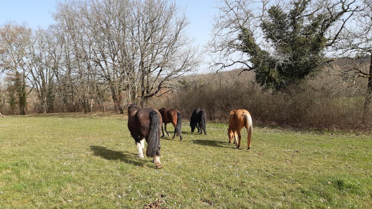 Ferme Brasseyrou - B&B Classique Devillac المظهر الخارجي الصورة